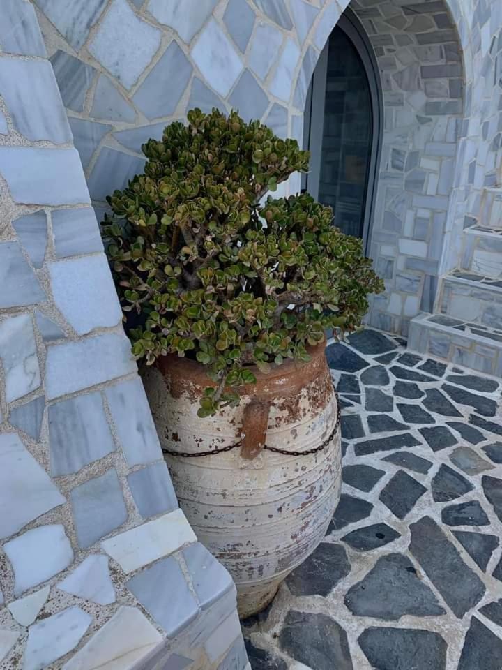 Apartamento Πέτρινο Στη Θάλασσα Nafpaktos Exterior foto